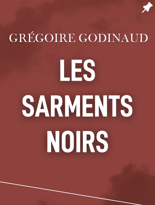 Post instagram sortie, du roman Les Sarments Noirs de Grégoire Godinaud