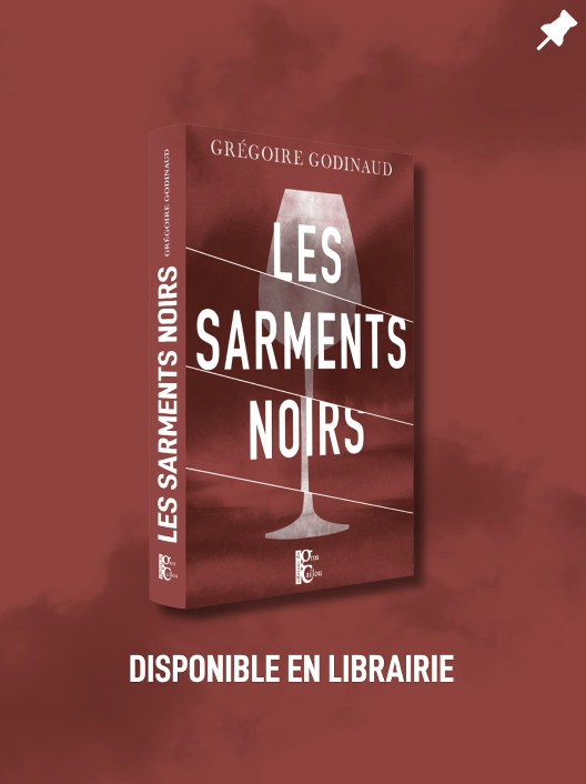 Post Instagram sortie du roman Les Sarments Noirs écrit par Grégoire Godinaud