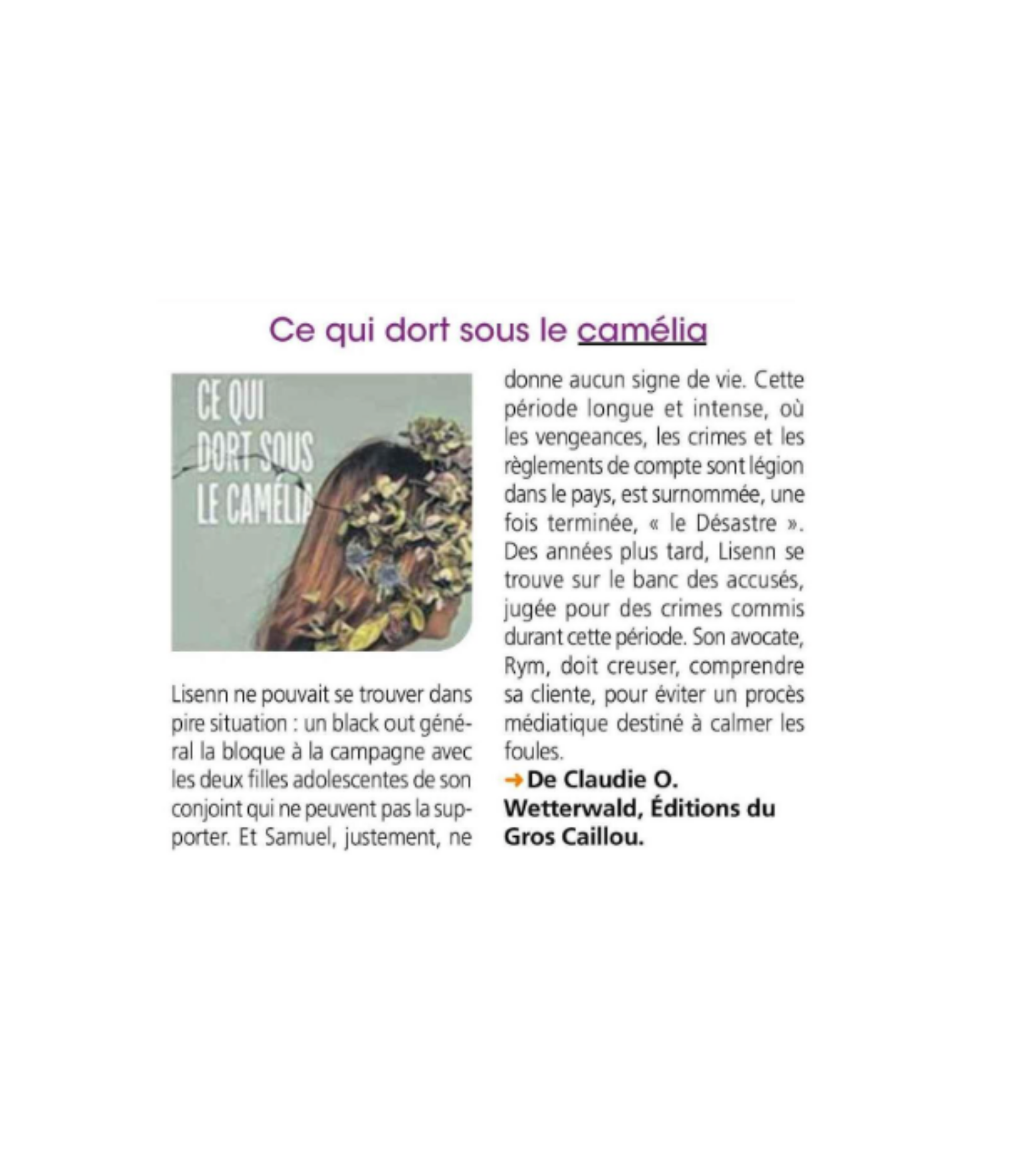 L'éclaireur la dépêche